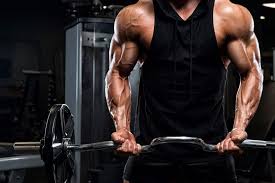 images 2 curl biceps